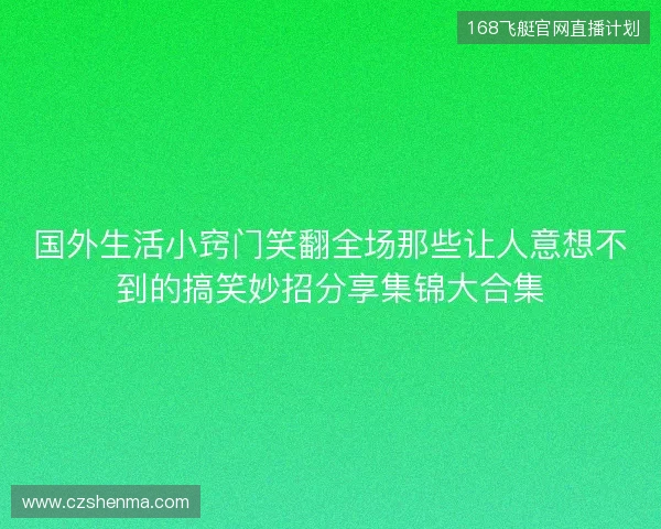 国外生活小窍门笑翻全场那些让人意想不到的搞笑妙招分享集锦大合集